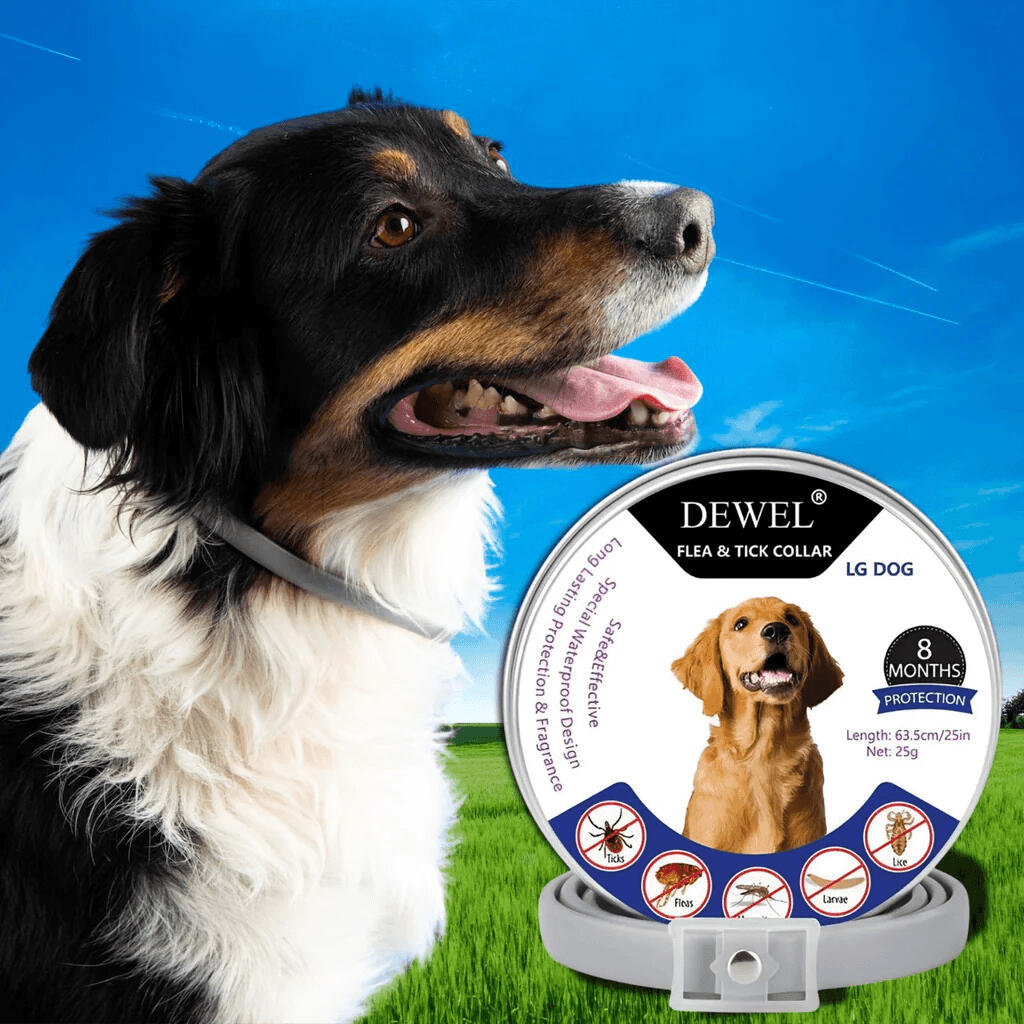 #1 — DEWEL Flea & Tick Collar for Dogs (8-Month Natural Protection)